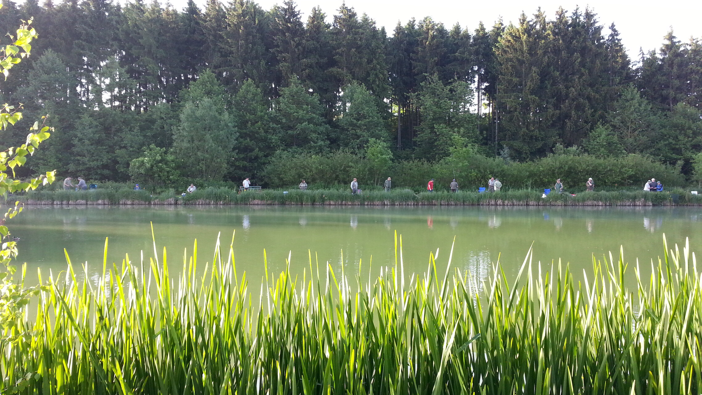 Galeriebild: 20140608 065634